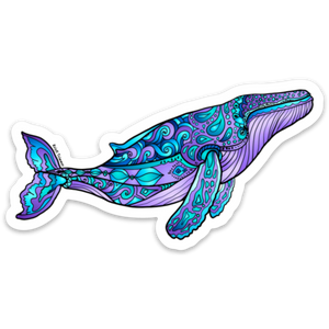 Whale - Humpback Whales